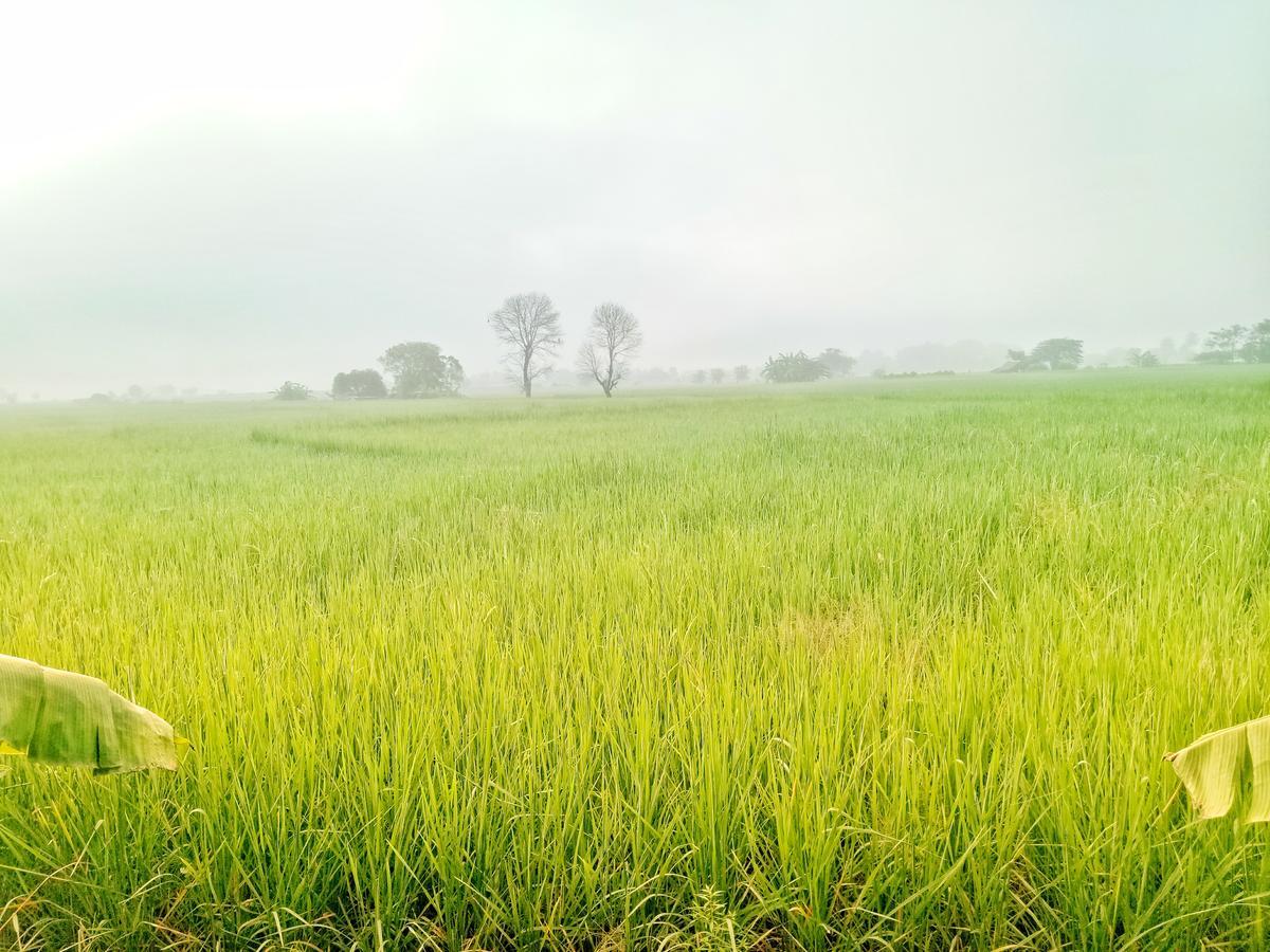 JaiSabai Homestay Mae Ai Luaran gambar